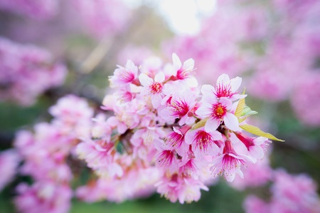 חברת ניקיון בתים בגבעתיים - ניקיון אחרי שיפוץ
