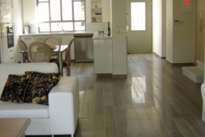 Cleaning Company in Israel: Tel Aviv, Jerusalem, Haifa